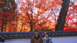京都で紅葉を満喫