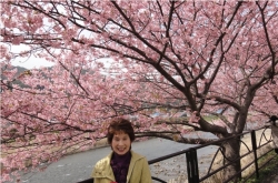 桜が満開の河津温泉