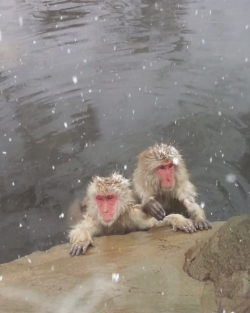 鬼怒川温泉の野天風呂