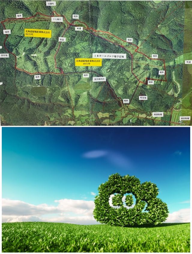 大企業は脱炭素化の為に森・山林を買っています