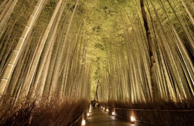 京都の紅葉ベスト5と番外
