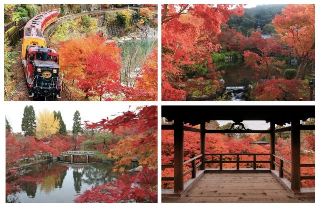 京都の紅葉ベスト5と番外