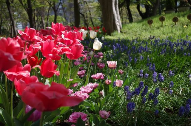 春が目の前まで来ています