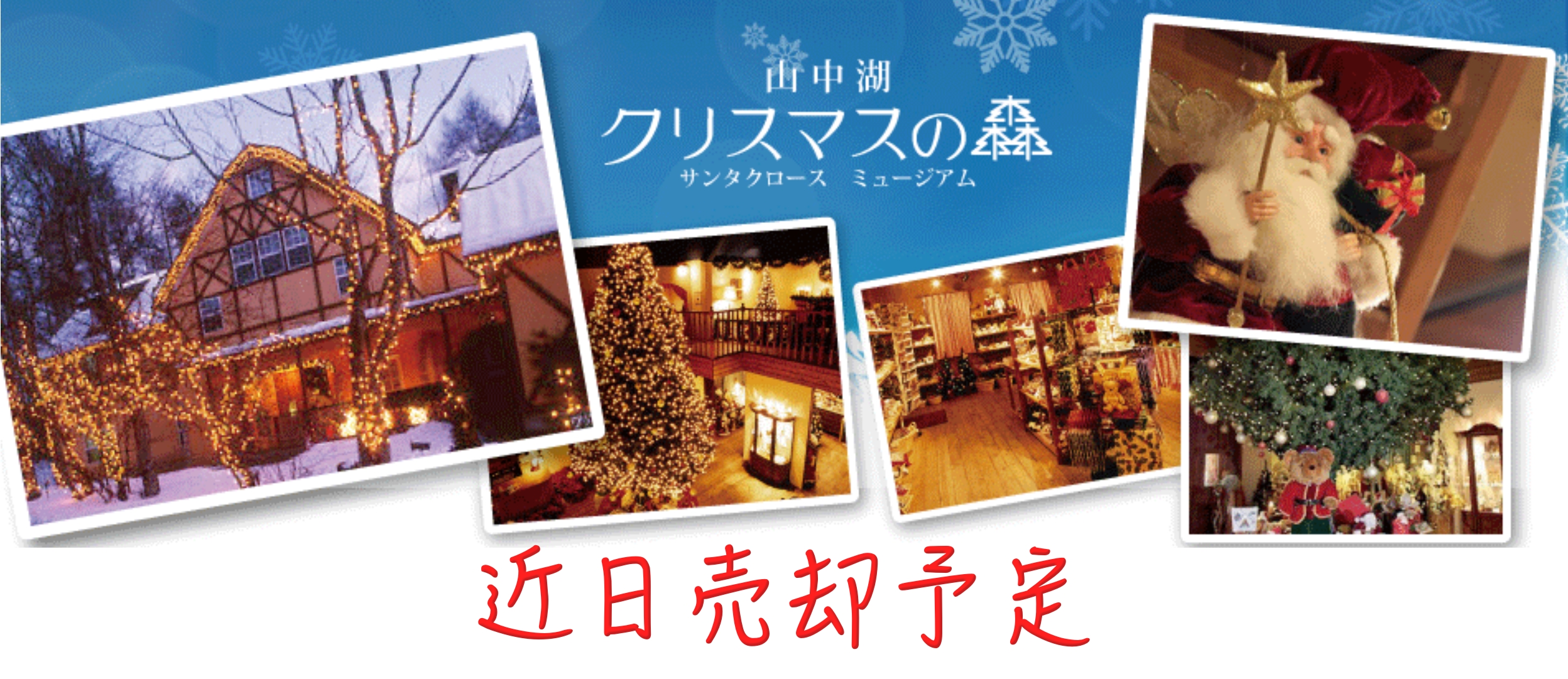 山中湖クリスマスの森