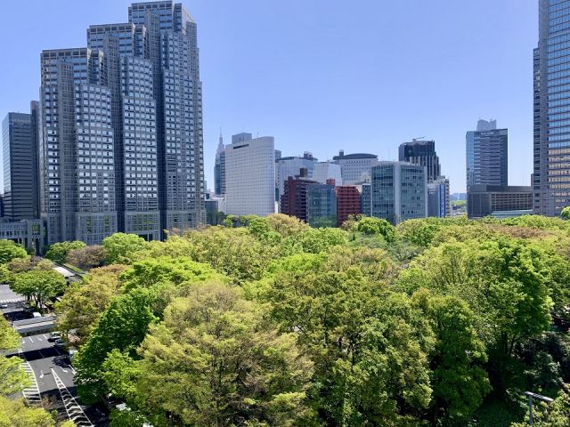 新緑の新宿中央公園
