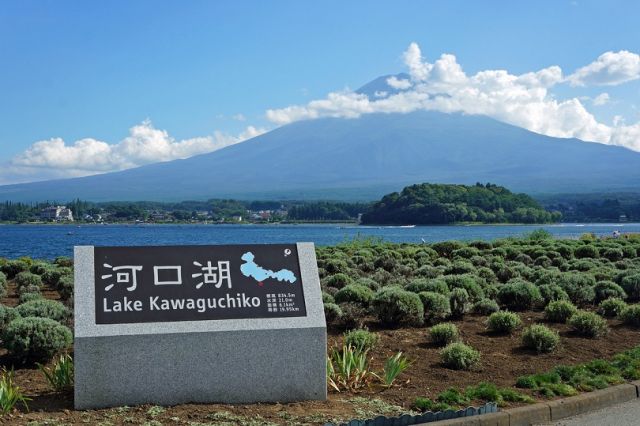 夏の富士山と河口湖