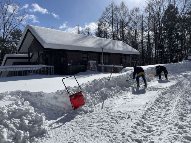 大雪の功罪