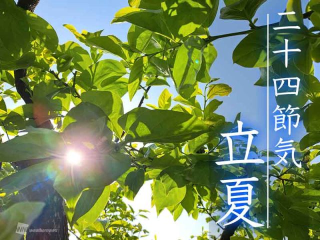 立夏と新緑
