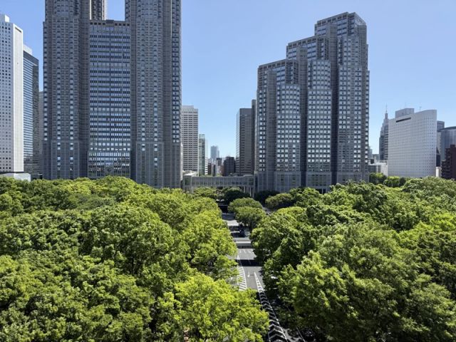 立夏と新緑