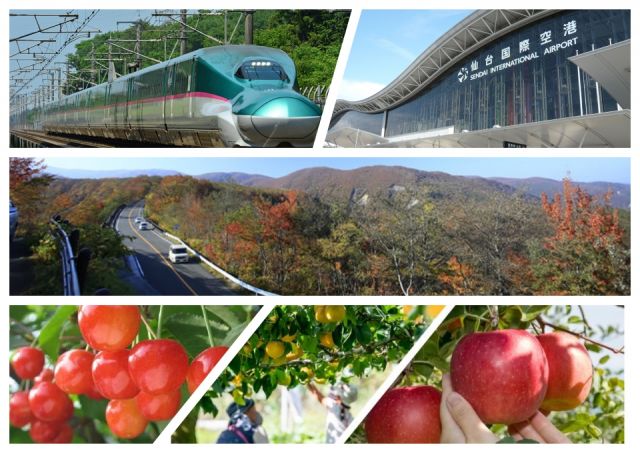 ニセコ、白馬の次にバズるのは蔵王です